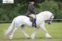 Georgia-Boswell-and-Holling-foxglove