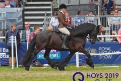 Charlotte-Smiley-and-Copleylane-Ringo-2