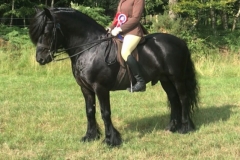 Hayley-Reynolds-and-Wellbrow-Diplomat