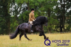 Joe-Watson-and-Westwick-Duke