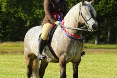 Katie-Common-and-Dunedin-Mascot