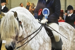Poppy-Fisher-and-Braeford-Sandpiper