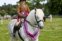 Catherine-Taylor-Horse_Pony-Perburn-annabella