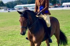 Liz-Mansbridge-and-Newcopse-Tigger