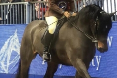 Sarah-Challinor-and-Okedene-Justin