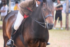 Chantelle-Dorton-and-Farriers-Firefly