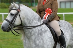 Rhiannon-Randall-and-Bluebraes-Merrick