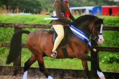 Rebecca-orr-and-Rhwngddwyafon-cadwgan