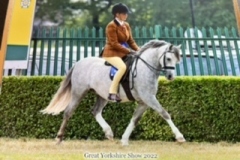 Emma-littlefair-and-Coffeepot-Jonty