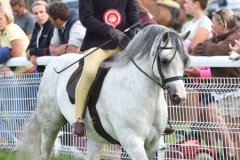 Frankie-Currell-and-Springbourne-Contessa