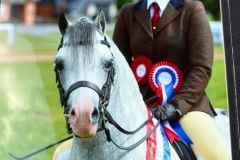 Amy-Ashworth-and-Belchford-Myrddin