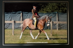 Immy-Strathern-and-Thistledown-Jambo