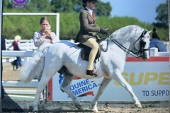 Maisie-peters-and-Hoekhorst-Example