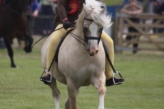 Brooke-Kehoe-and-PILLHEATH-PRINCE-CHARMING