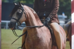 Danielle-Brice-and-Priestwood-Darwin