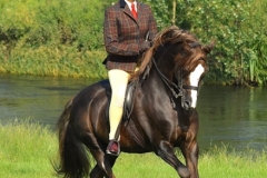 Eiry-Bonner-and-Moelview-Prince-Charming