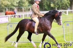 Lauren-Brill-and-Eyarth-Braveheart_