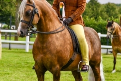 Nicole-Wayman-and-Cadlanvalley-Bentley-2