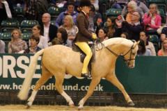 Rowen-Hilton-and-Milford-Fair-Breeze