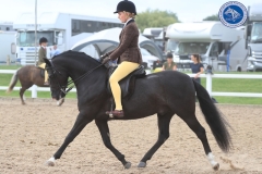 Amber-Twambley-and-Copella-Black-Knight