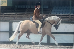 Emma-Littlefair-and-Cadlanvalley-Goldru