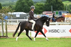 Katie-Goodwin-and-Moelview-Prince-Harry