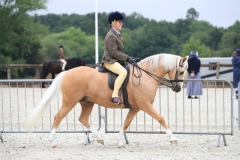 Katie-Griffiths-Horse_Pony-Skellorn-Royal-Anniversary