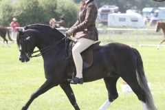 Lucy-Dyer-Horse_Pony-Bunbury-Zimba