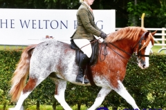 Hannah-Horton-and-Settvalley-The-Gladiator-2