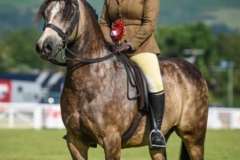 Kayleigh-Catton-and-Sorrelcourt-Dunkinley