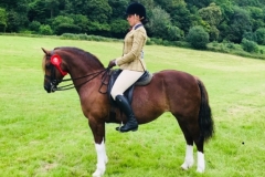 Lauren-beaumont-and-Synod-ribbons