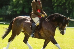 Nicole-Musson-and-Corstan-Penelope