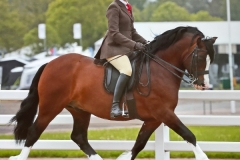 April-Gilmartin-and-Gems-malt-whiskey