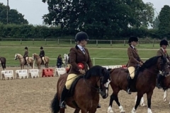 Chelsea-Townley-and-Rivervalley-Teardrop