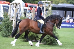 April-gilmartin-and-GEMS-MALT-WHISKEY