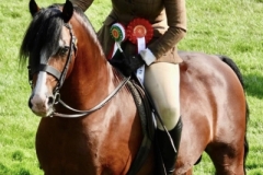 Lili-burridge-and-Hywi-the-enforcer