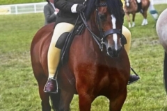 Annie-Thomas-and-Wyken-Sweet-Silhouette