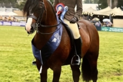 April-gilmartin-and-Gems-malt-whiskey