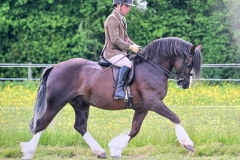 Terry-Clynes-and-Cheshmere-Flash-Bang-Wallop