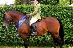 Claire-Evans-and-Northwick-Notorious