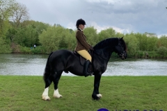 Ellena-Thomas-and-Kaybrook-Midnight-Comet