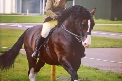 Lucinda-stockley-and-Larnleigh-Dictator