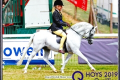 Shona-Blackburn-and-Paddock-Marquis-2