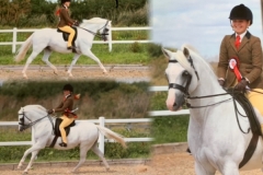 Olivia-page-and-Heniarth-Touchstone