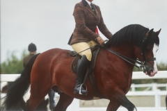 Tarnya-Shields-and-Hywi-The-Enforcer