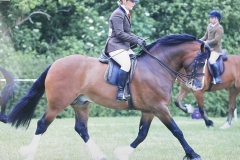 Dannii-Thexton-and-Llandderfel-Prince-Richard