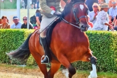 Kyle-McClements-and-Willgar-Alices-Charm-