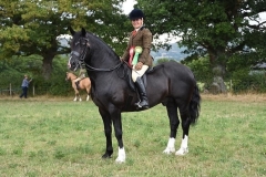 Michelle-Henney-and-Rhosygarreg-Del-Boy