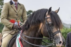 Sam-Roberts-and-Menai-Eurostar