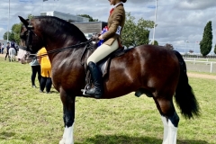 Harriet-Glenn-and-Larnleighs-Dictator